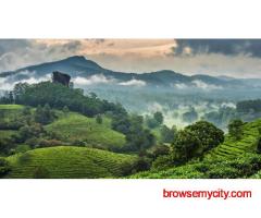 Corporate Outbound Training In Coorg for Skill Developmen