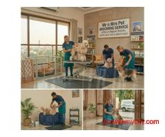 Pet Grooming Service at Home in Nagpur