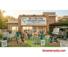 Pet Grooming Service at Home in Raipur