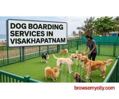 Dog Boarding Services in Visakhapatnam