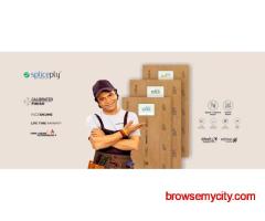 Premium Plywood Manufacturer in India – Splice Ply