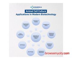 Animal Cell Culture Applications in Modern Biotechnology