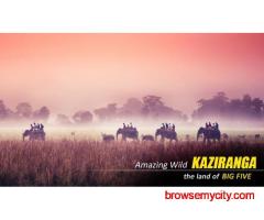 Premium Kaziranga Tour Package from Guwahati: Explore the Wild Heart of Assam