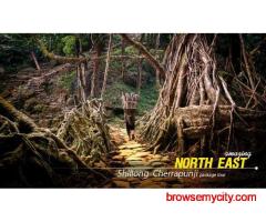 Premium Kaziranga Tour Package from Guwahati: Explore the Wild Heart of Assam