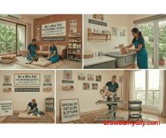 Cat Grooming In Bangalore