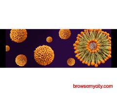 What Is Tallow Lip Balm?