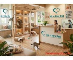 Cat Hostel In Bangalore