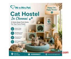 Cat Hostel In Chennai