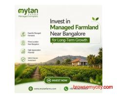 Top Managed Farmland Near Bangalore for Long-Term Growth
