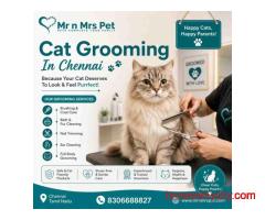 Cat Grooming In Chennai