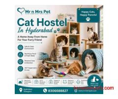 Cat Hostel In Hyderabad