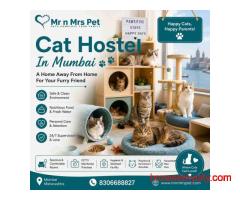 Cat Hostel In Mumbai