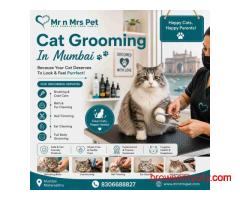 Cat Grooming In Mumbai