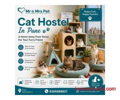Cat Hostel In Pune