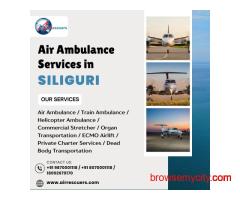 Siliguri Air Ambulance – Quick Life-Saving Transfers
