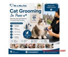 Cat Grooming In Pune