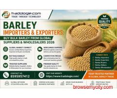 Barley Importers & Exporters: Buy Bulk Barley from Global Suppliers