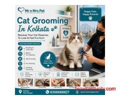 Cat Grooming In Kolkata