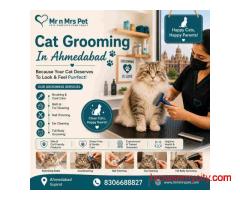 Cat Grooming In Ahmedabad
