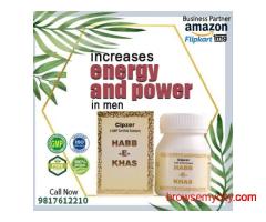 Cipzer Habb-E-Khas Pills 10's Natural Energy, Stamina & Vitality Booster