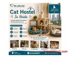 Cat Hostel In Noida