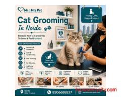 Cat Grooming In Noida