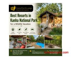 Best Resorts in Kanha National Park for a Wildlife Vacation