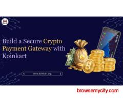 Build a Secure Crypto Payment Gateway with Koinkart