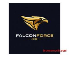 Digital Marketing Services In Ludhiana - Falcon Force