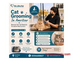 Cat Grooming In Amritsar