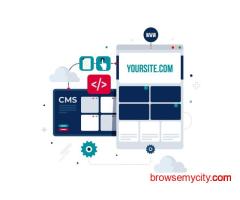 Web Portal Development Company for Business Growth