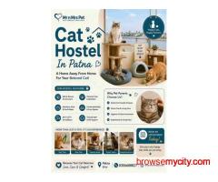 Cat Hostel In Patna