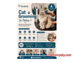 Cat Grooming In Patna