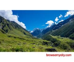 How Difficult Is the Sandakphu Trek for Beginners?