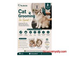 Cat Grooming In Surat