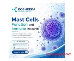 Mast Cells Function and Immune Research