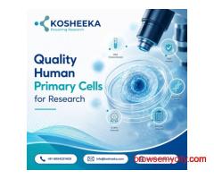 Quality Human Primary Cells for Research