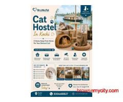 Cat Hostel In Kochi