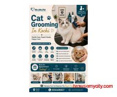 Cat Grooming In Kochi
