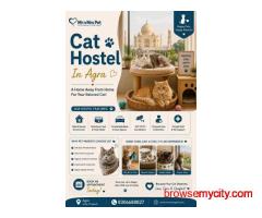 Cat Hostel In Agra