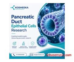 Pancreatic Duct Epithelial Cells Research