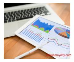 Digital marketing company in laxmi nagar