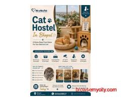 Cat Hostel In Bhopal