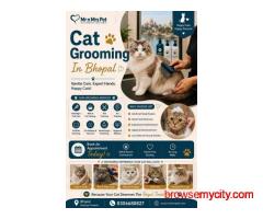 Cat Grooming In Bhopal