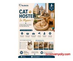 Cat Hostel In Mysore