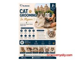 Cat Grooming In Mysore