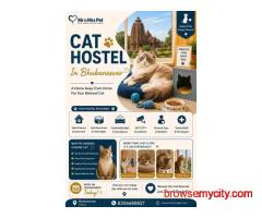 Cat Hostel In Bhubaneswar