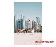 Memorable Vacation at Dubai 4 Nights 5Days