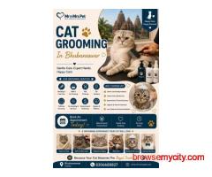 Cat Grooming In Bhubaneswar