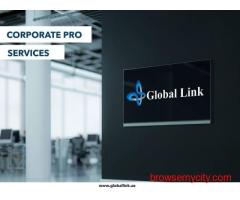 VAT & Tax Consultancy in Dubai